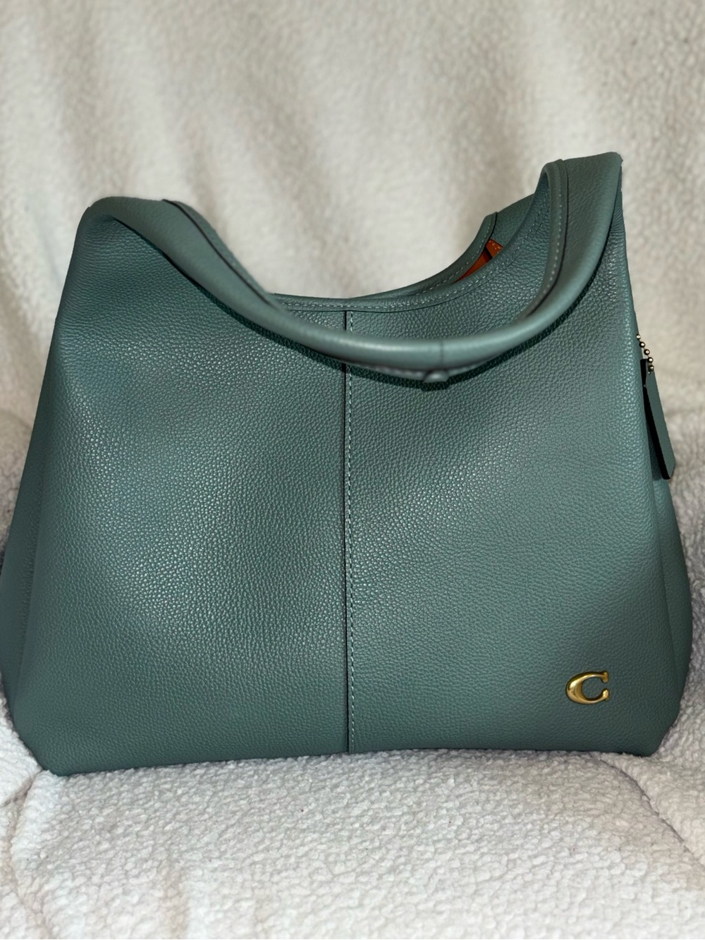 Coach Leather Shoulder Bag & Wallet in Sage - Picture 4 of 4